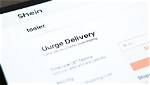 What Is Urge Delivery on Shein