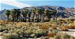 Who Is Louis Kimble from Twentynine Palms? Fatal Attraction Retells the Story of California Murder