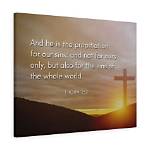 Who Is the Propitiation for Our Sins?