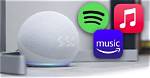 Why Does Alexa Stop Playing Music?