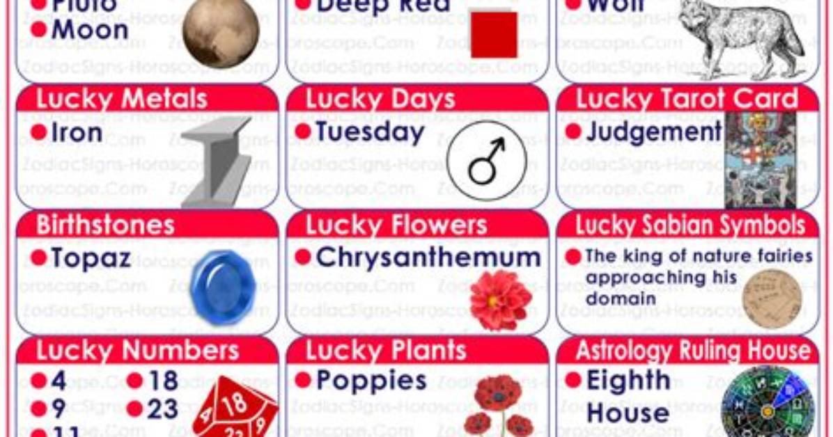 Zodiac November 20: Unveiling the Mysteries of Scorpio